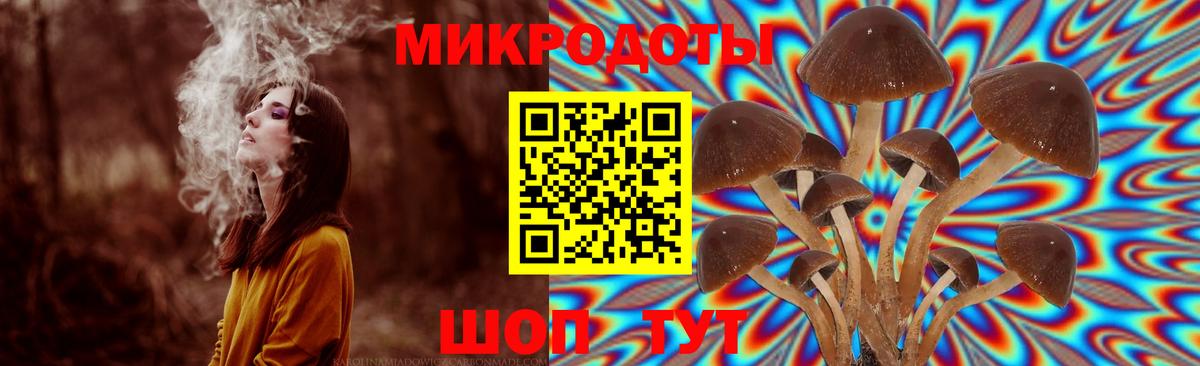 Псилоцибиновые грибы Magic Shrooms Аксай